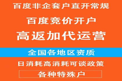 百度推广服务费案例：打造爆款产品营销策略